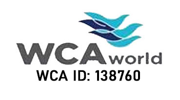 logo_img